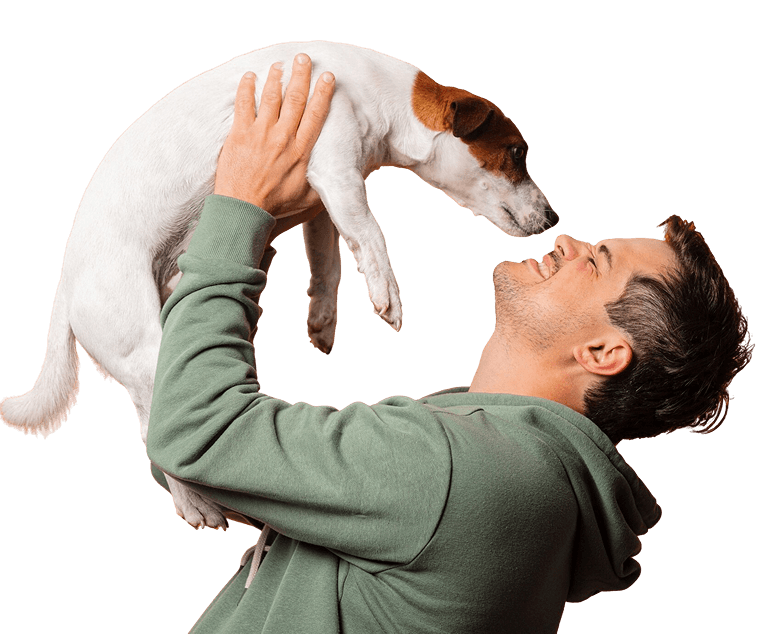 Pet