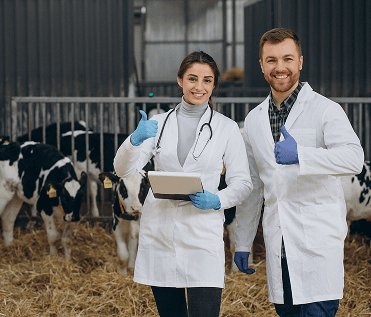 Highland Farm Vets
