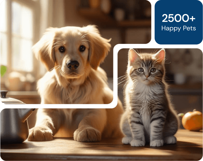 Cat and Dog