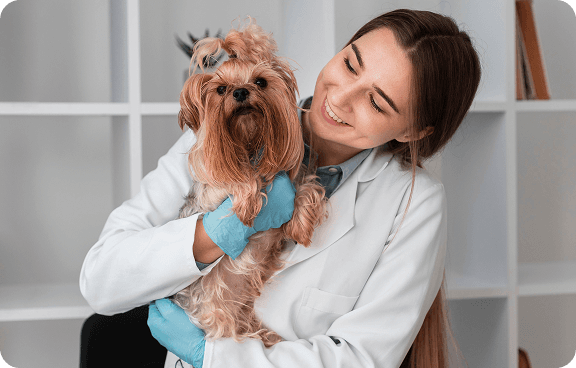 Veterinarian with Dog