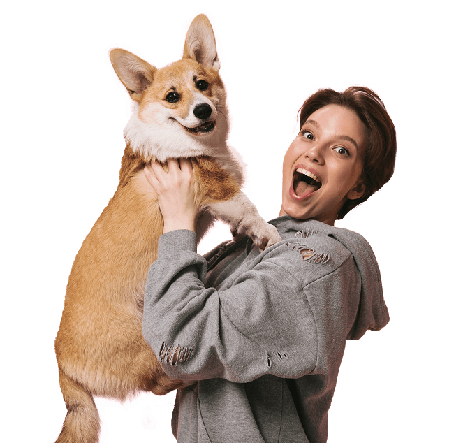 Pet