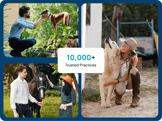 Why Choose My Vet — vet collage